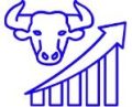 cropped-MG-Bull-1.jpg